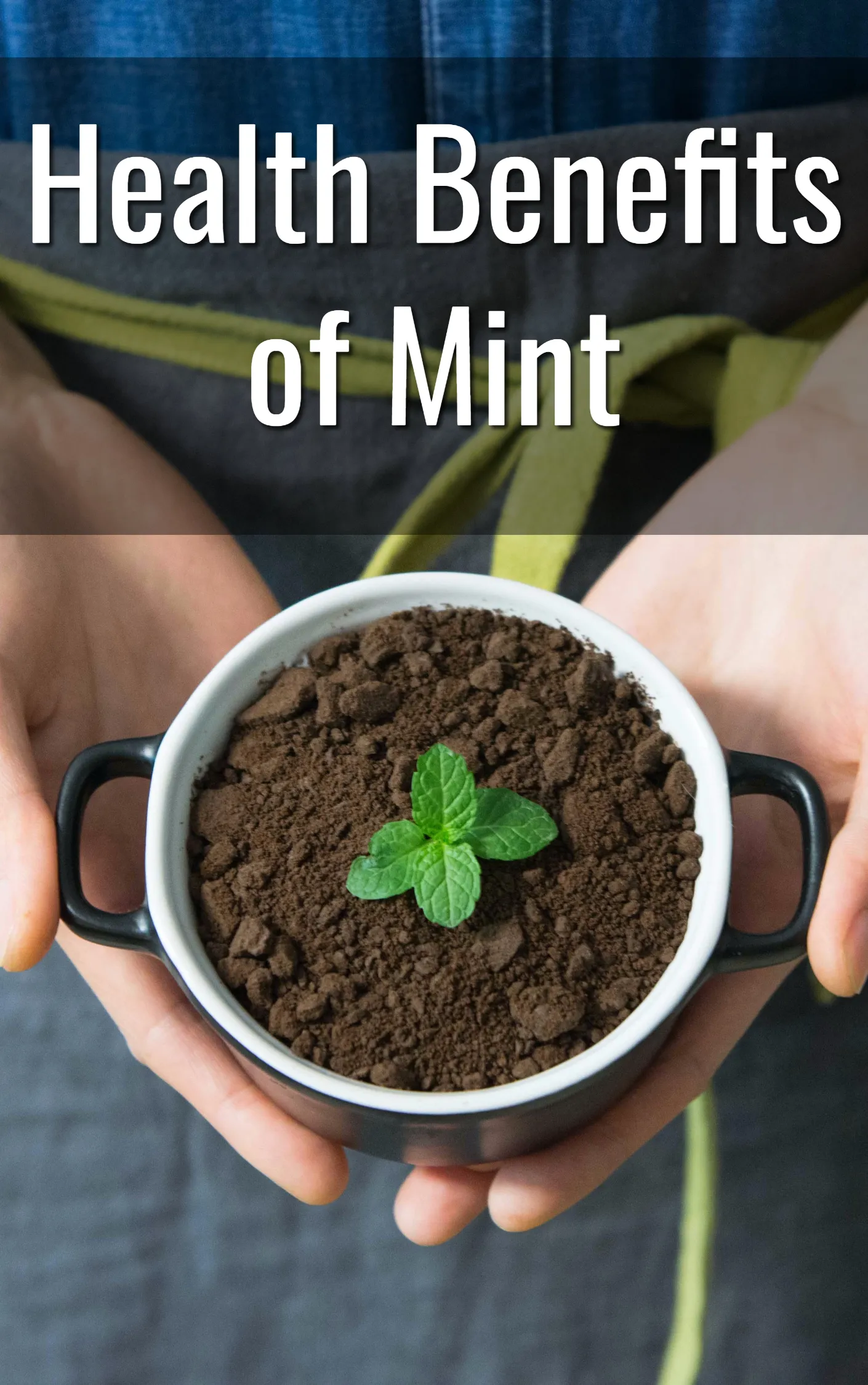 Health Benefits Of Mint