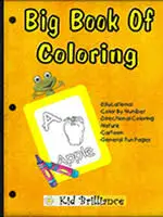 Big Book Of Coloring