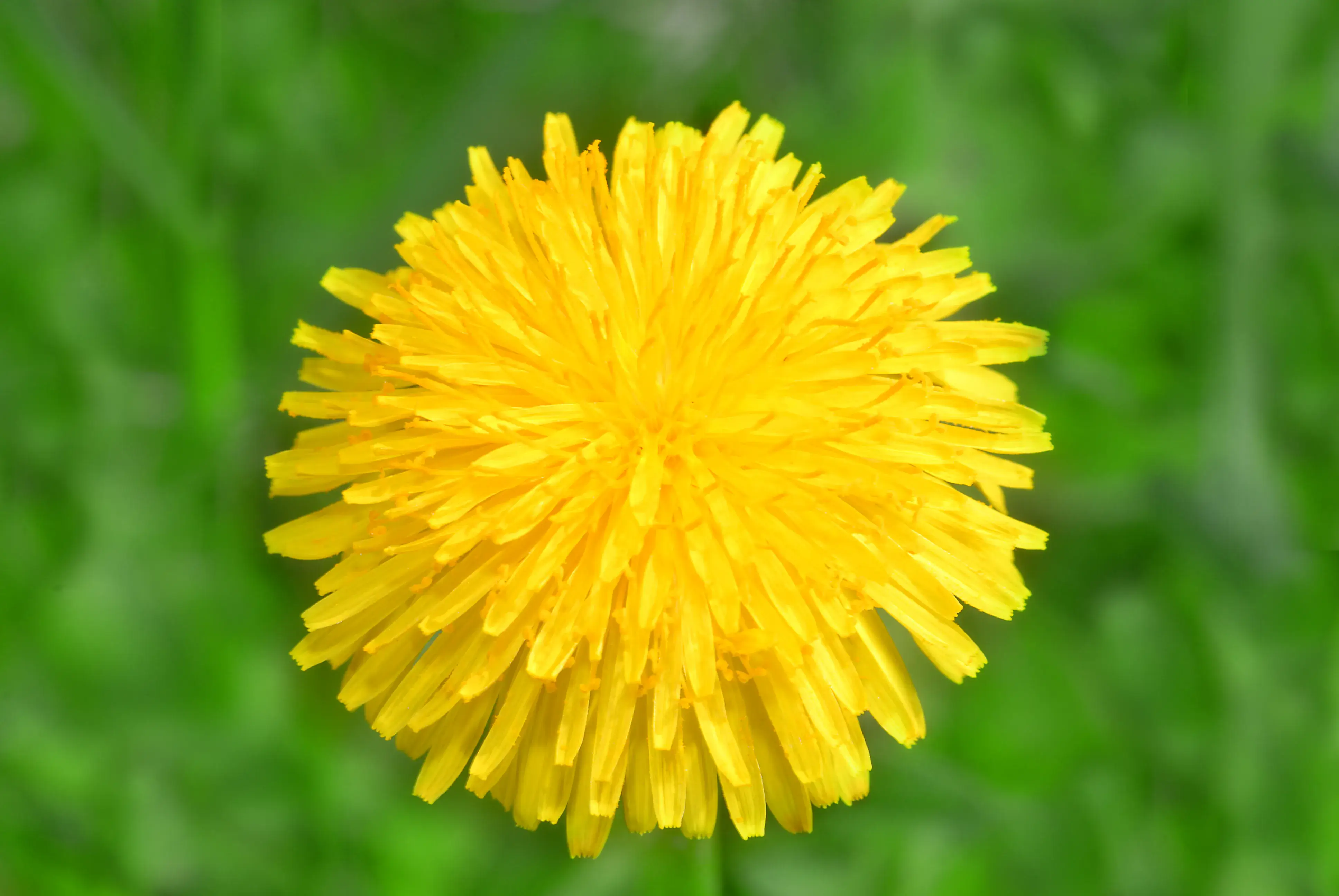 Ace Your Life With Affirmation