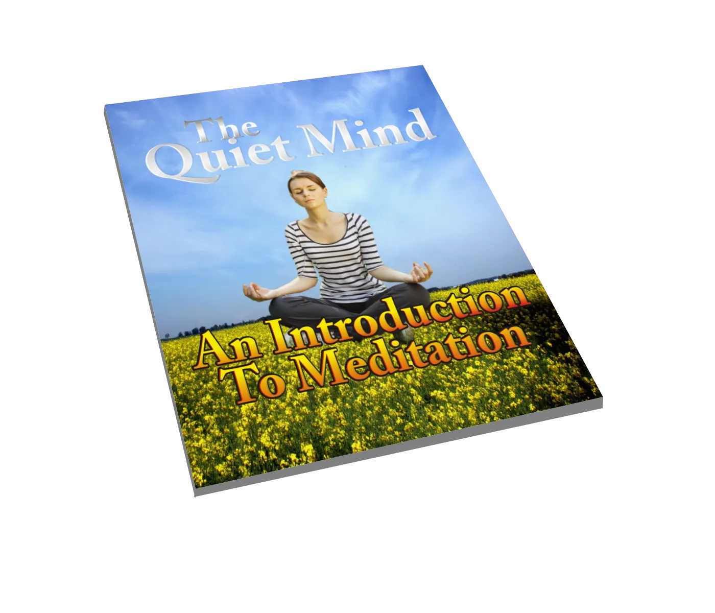 The Quite Mind Version 3