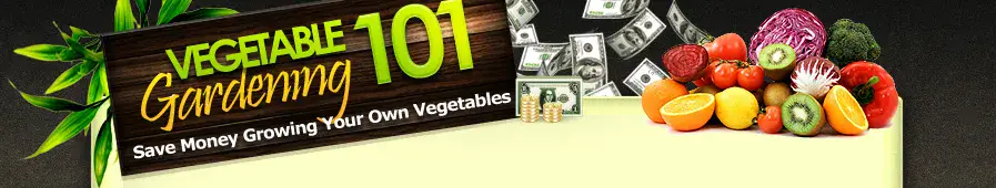 Vegetable Gardening 101