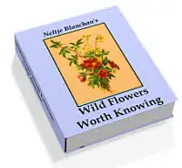 Wild Flowers Worth Knowing
