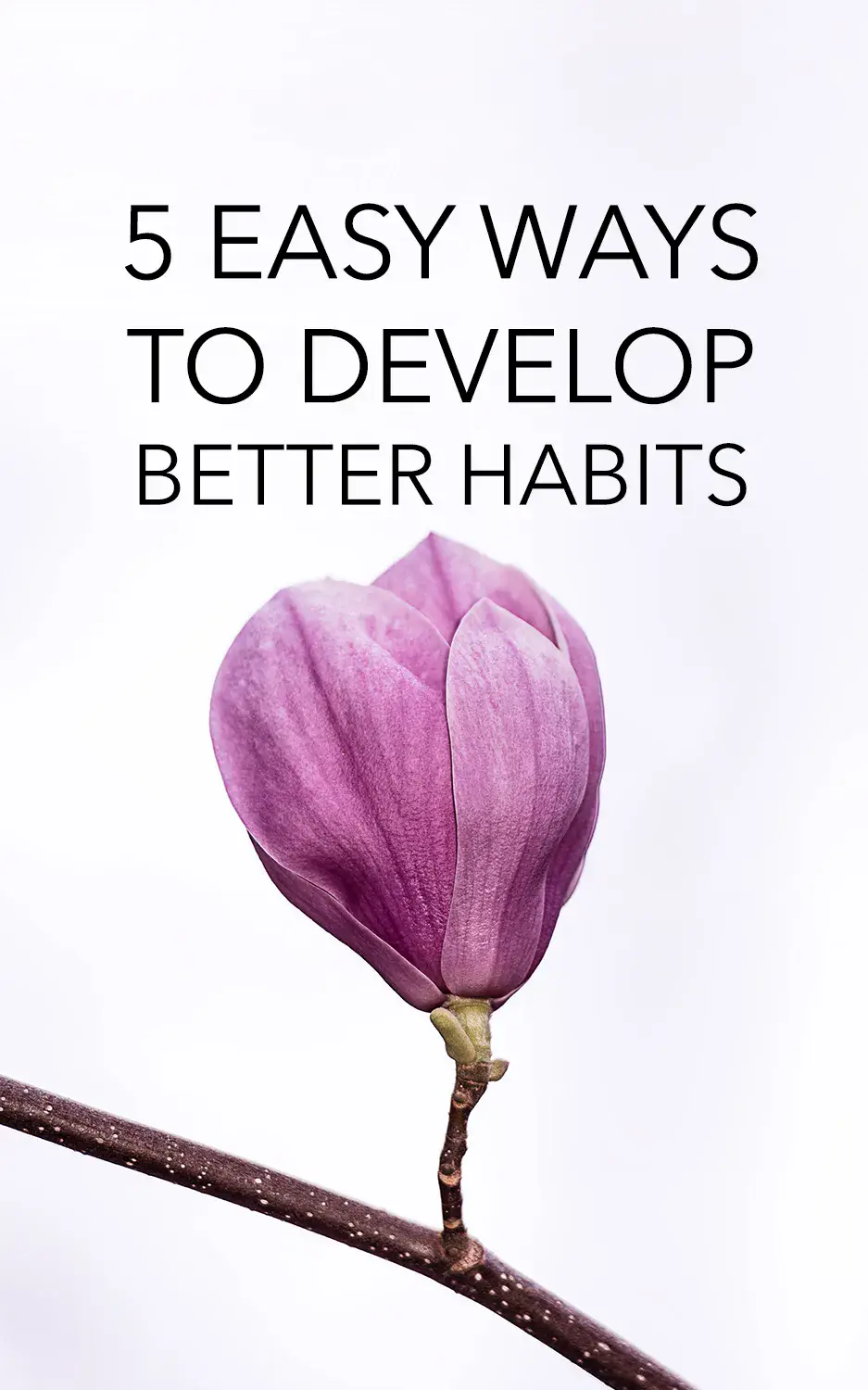 Better Habits