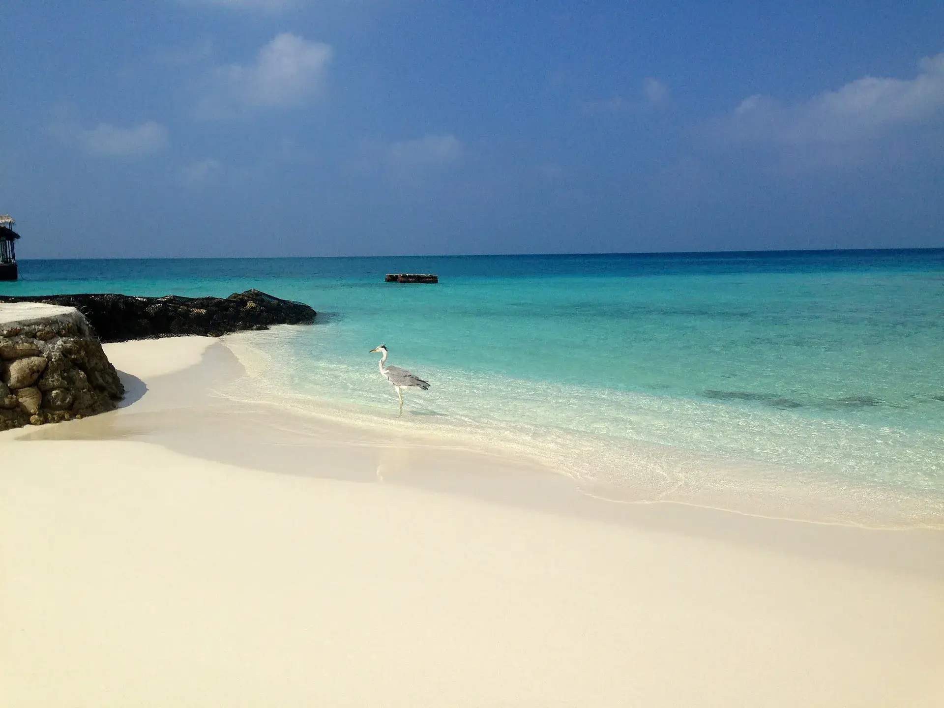 Clickbank And Social Media