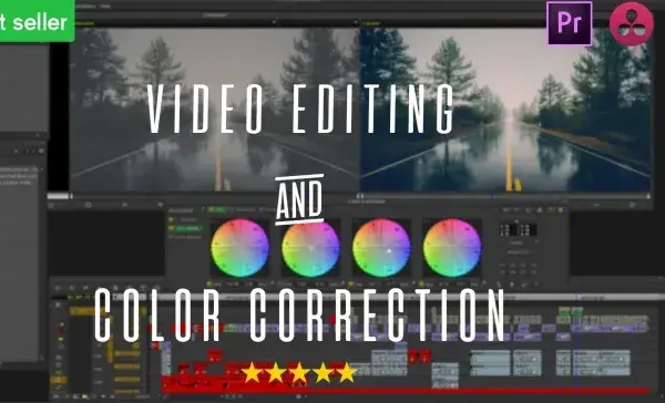 I will do a pro video editing