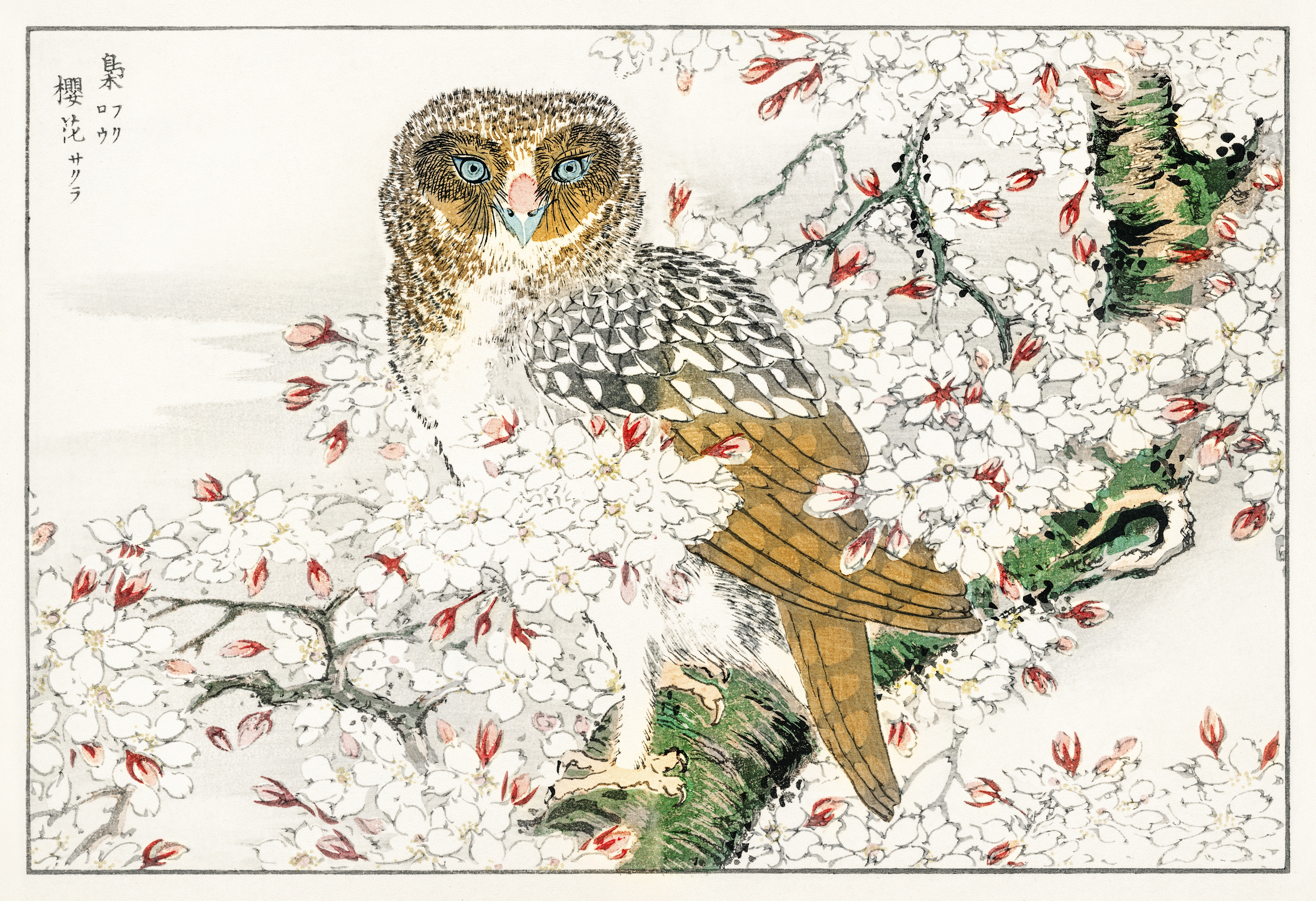 Enchanting Beauty Spells
