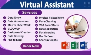 I Will do professional data entry and copy paste work .
