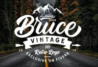 I will design vintage retro minimalist business logo