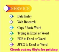 I will data entry, copy paste, web scraping and excel data entry