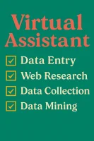 Reliable VA for Data Entry, Copy-Paste, and Online Research