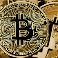 Coin Creations Freelance Services