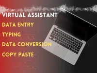 I Will Be Your Reliable Virtual Assistant for Admin, Data & Research Tasks