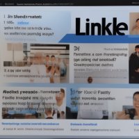 LinkedIn Master