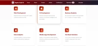 Website Developer