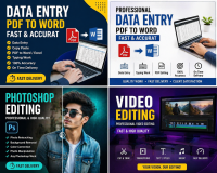 i will do fast typing and accurate  data entry work 