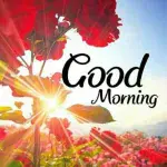 tahir