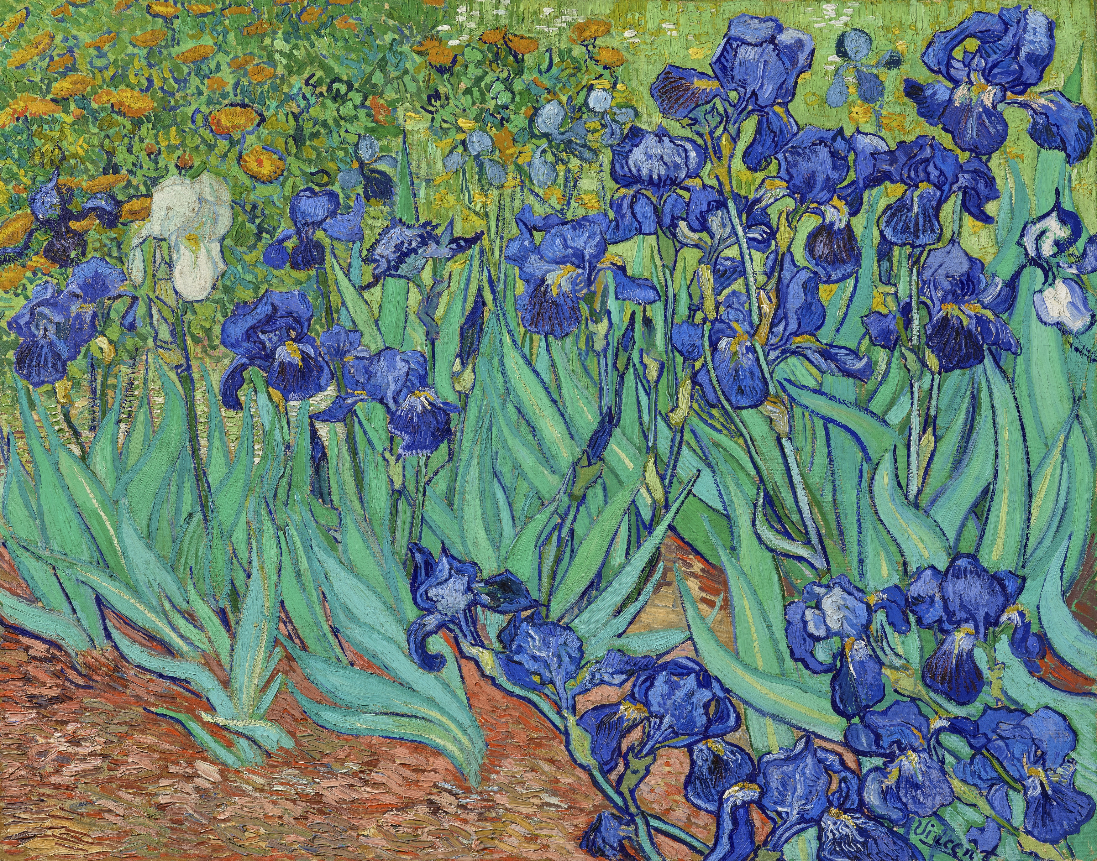 nbailey9771