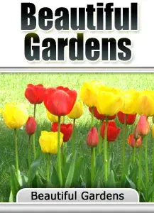 Beautiful Gardens