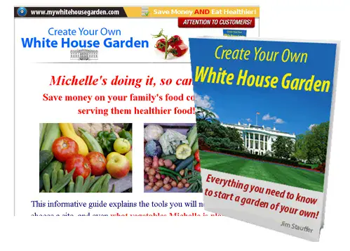 image not found