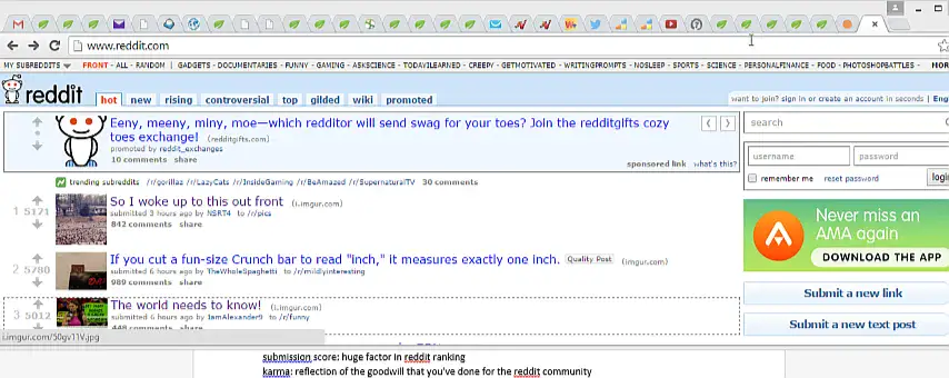 image not found