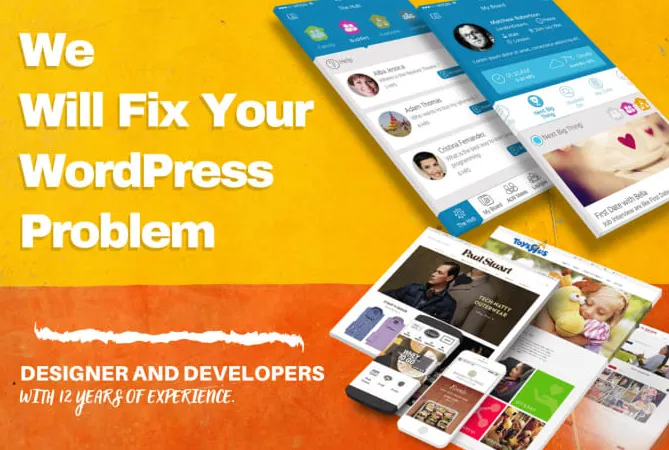 I will fix wordpress problem or customize theme
