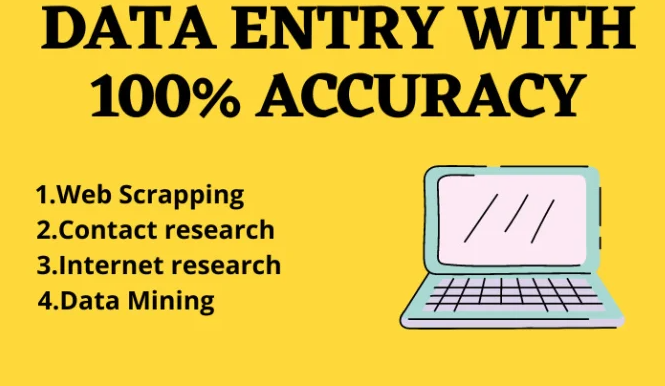 I will do fastest data entry in 24 hours and data mining research