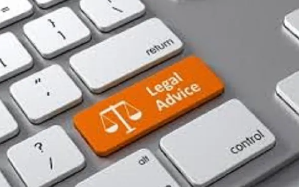 I will provide legal consultation or legal advice on legal areas