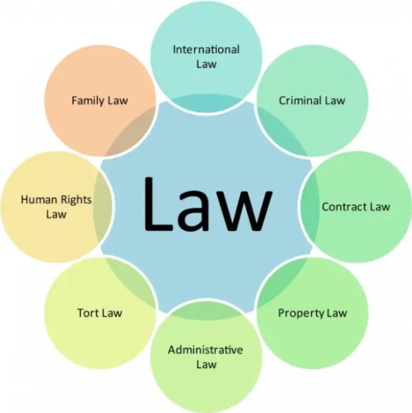 I will your online lawyer and legal consultant
