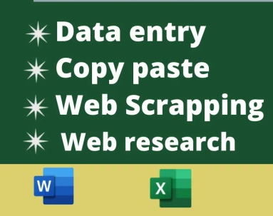 I will do perfect data entry, copy paste, web research