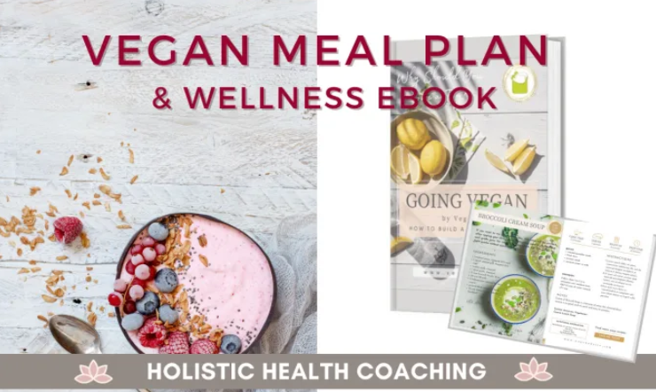 I will create a vegan recipe and wellness ebook