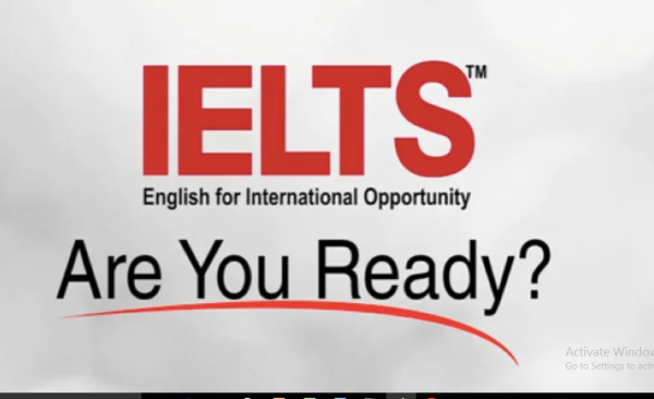 I will provide personalized ielts writing lessons and give feedback