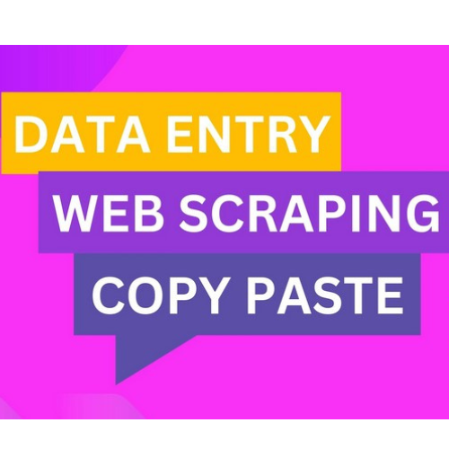 I will do data entry, web scraping, excel, typing, copy paste work