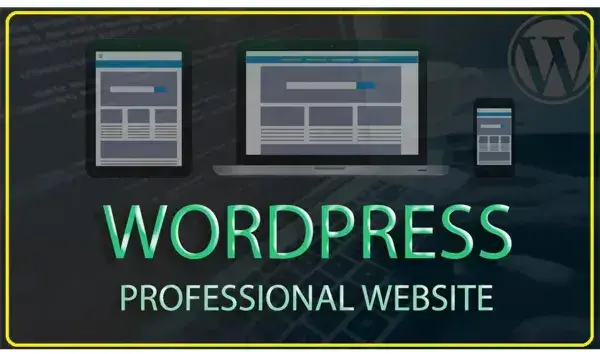 I will build a modern wordpress website design or blog