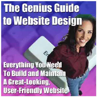The Genius Guide To Web Design